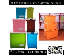 加厚塑料收纳箱模具  塑料透明箱模具 台州塑料收纳箱模具厂